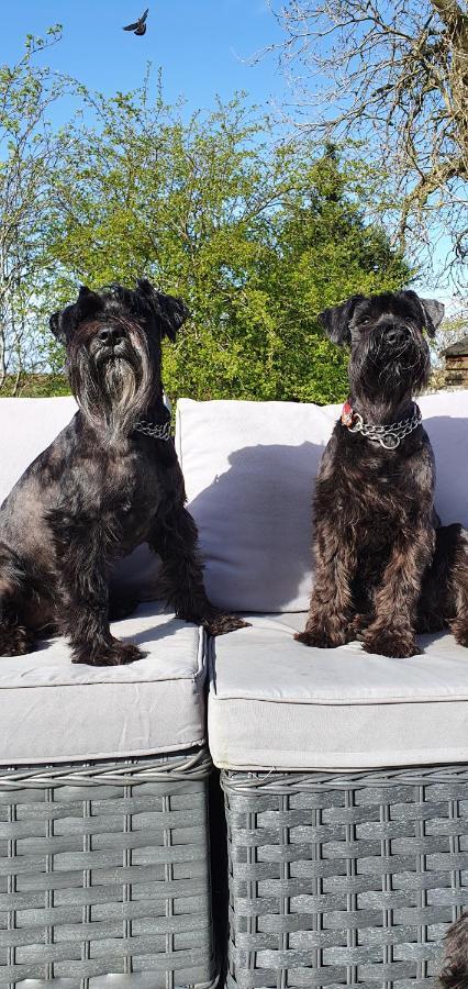 The Sleeping Dog Room At The Grumpy Schnauzer Bnb Huge Room, Luxe Suite, Private Hot Tub, Breakfast, Gym, Games Room, Farm Stay, Amazing Ердрі Екстер'єр фото